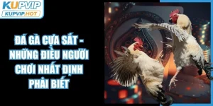 Đá Gà Cựa Sắt - Những Điều Người Chơi Nhất Định Phải Biết