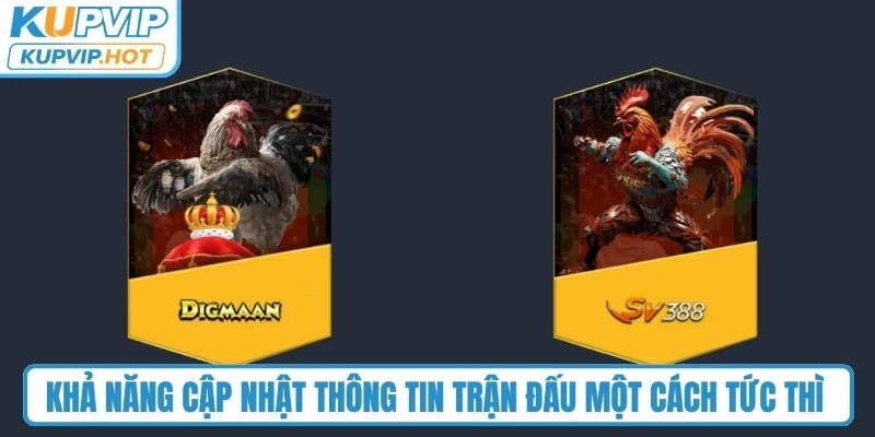 Khả năng cập nhật thông tin trận đấu một cách tức thì tại đá gà KUPVIP