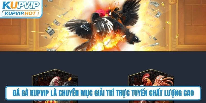 Đá gà KUPVIP là chuyên mục giải trí trực tuyến được phát sóng với chất lượng cao
