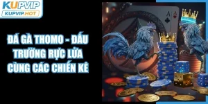 Đá Gà Thomo - Đấu Trường Rực Lửa Cùng Các Chiến Kê 