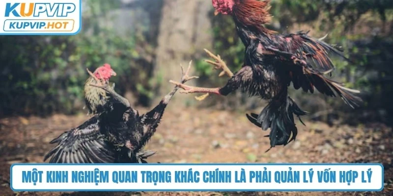 Một kinh nghiệm quan trọng khác chính là phải quản lý vốn hợp lý