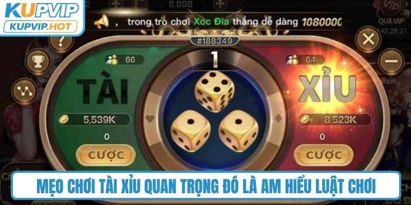 Mẹo chơi tài xỉu quan trọng đó là am hiểu luật chơi 